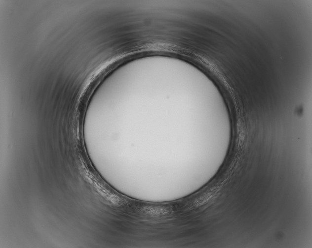 X0000115600931200912011523