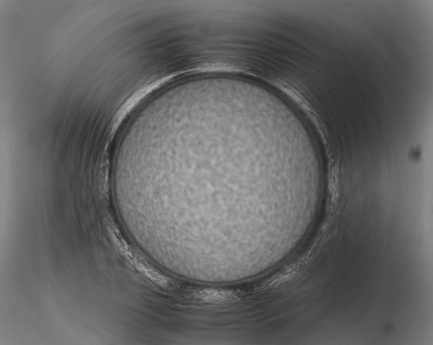 X0000115600933200912011523