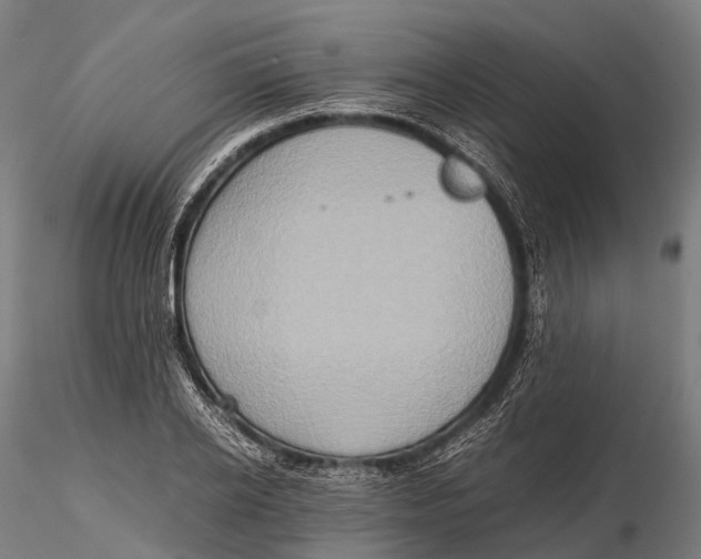 X0000115600934200912011523