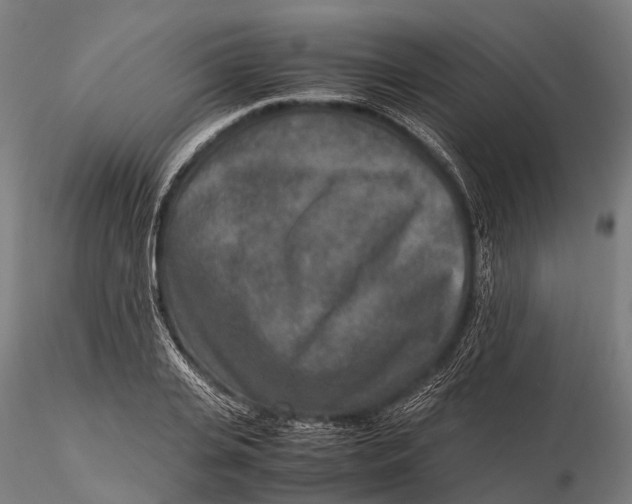 X0000115600935200912011523