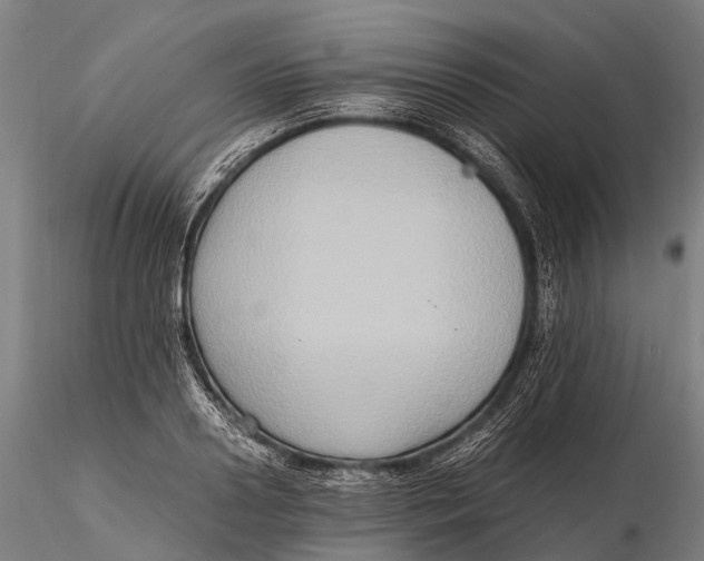 X0000115600938200912011523