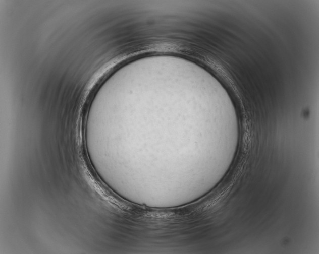 X0000115600939200912011523