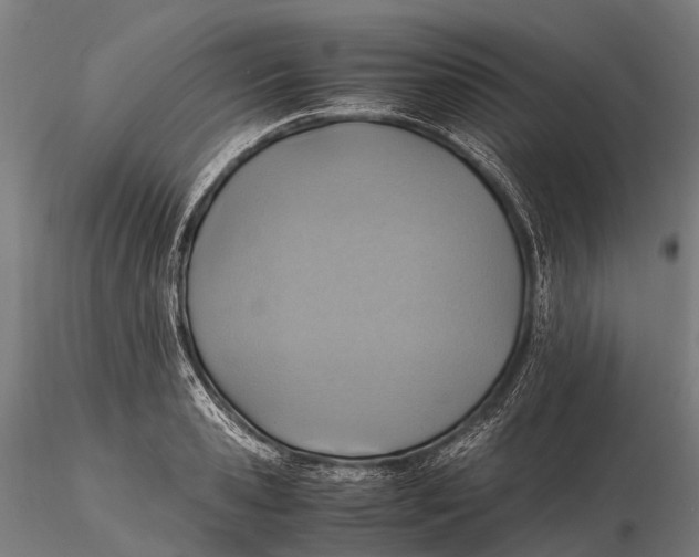 X0000115600941200912011523