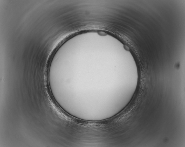 X0000115600942200912011523