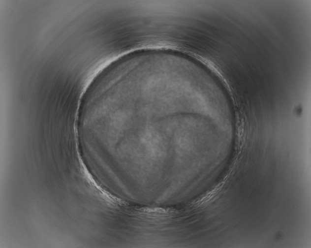 X0000115600943200912011523