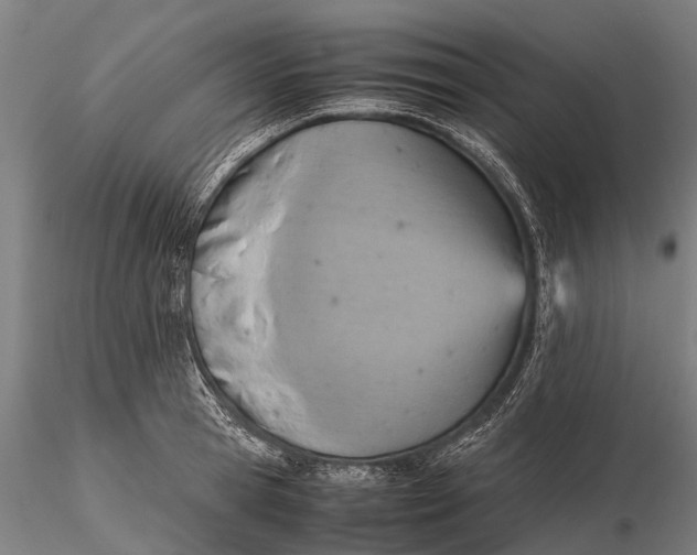 X0000115600945200912011523