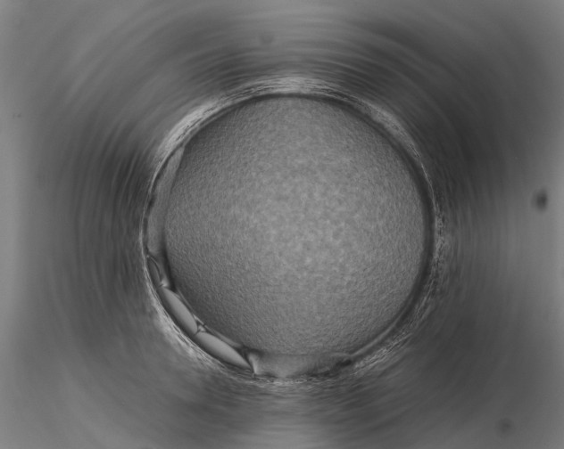 X0000115600946200912011523