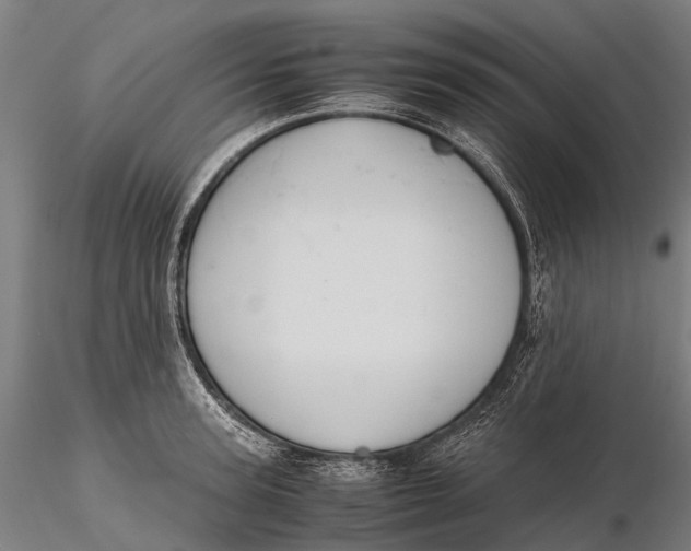 X0000115600947200912011523