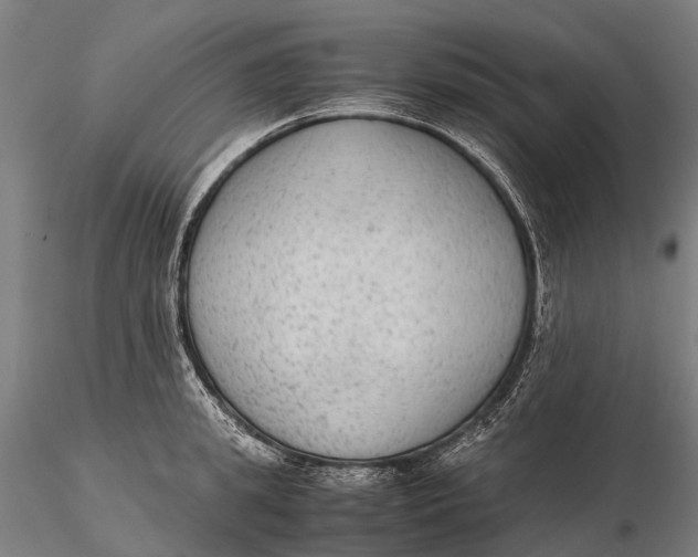 X0000115600949200912011523