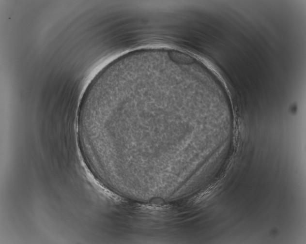 X0000115600951200912011523