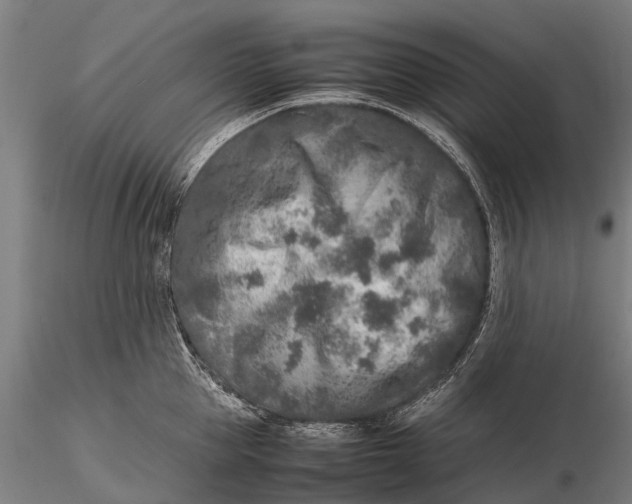 X0000115600953200912011523