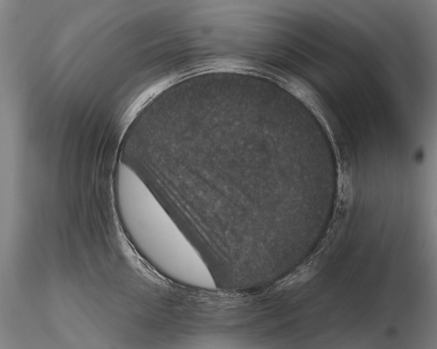 X0000115600954200912011523