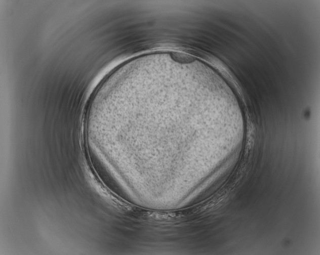 X0000115600955200912011523