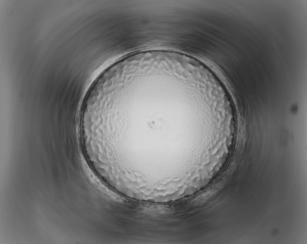 X0000115600957200912011523