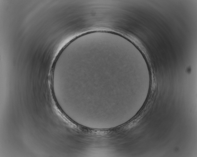 X0000115600958200912011523