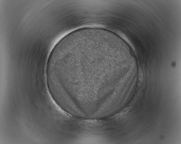 X0000115600959200912011523