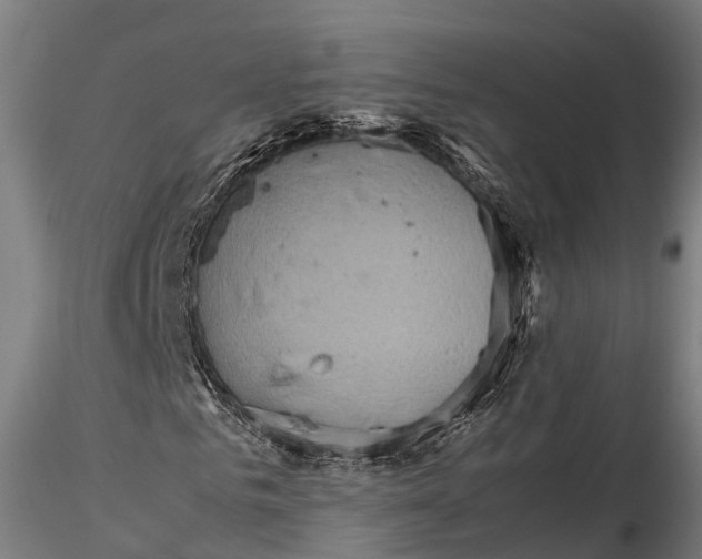 X0000115600961200912011523