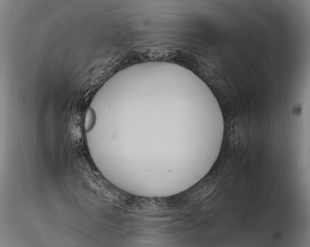 X0000115600962200912011523