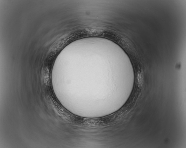 X0000115600963200912011523