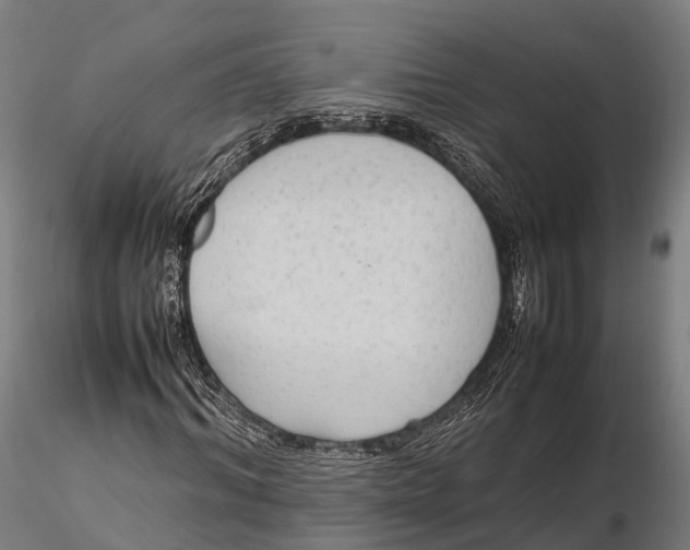 X0000115600964200912011523