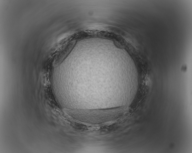 X0000115600965200912011523