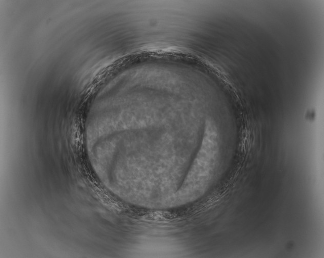 X0000115600966200912011523