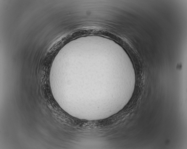 X0000115600967200912011523