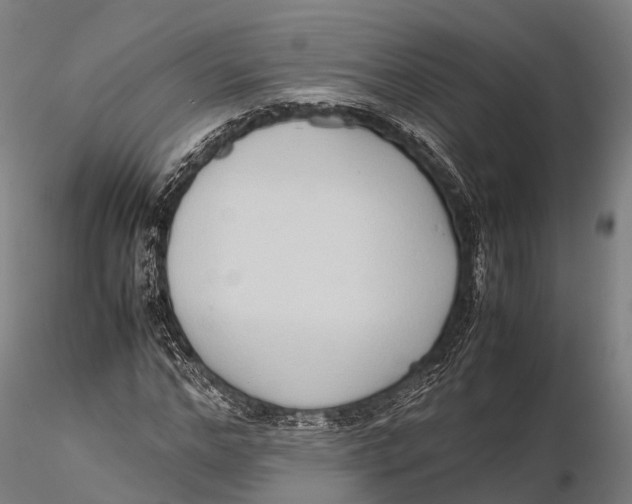 X0000115600968200912011523