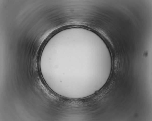 X0000115600972200912011523