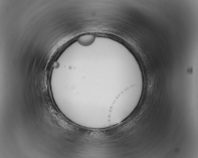 X0000115600974200912011523