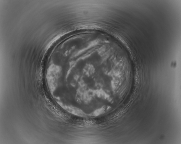 X0000115600975200912011523