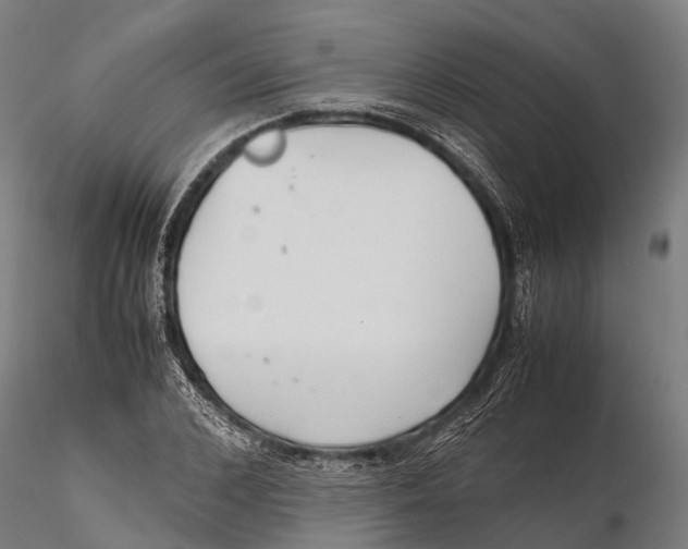 X0000115600976200912011523