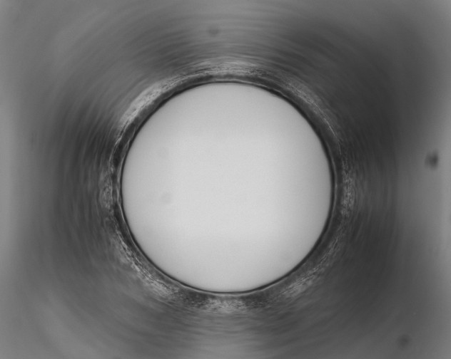 X0000115600978200912011523