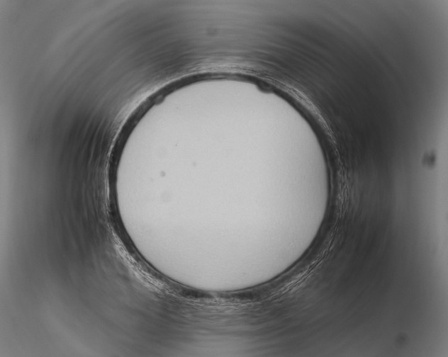 X0000115600980200912011523