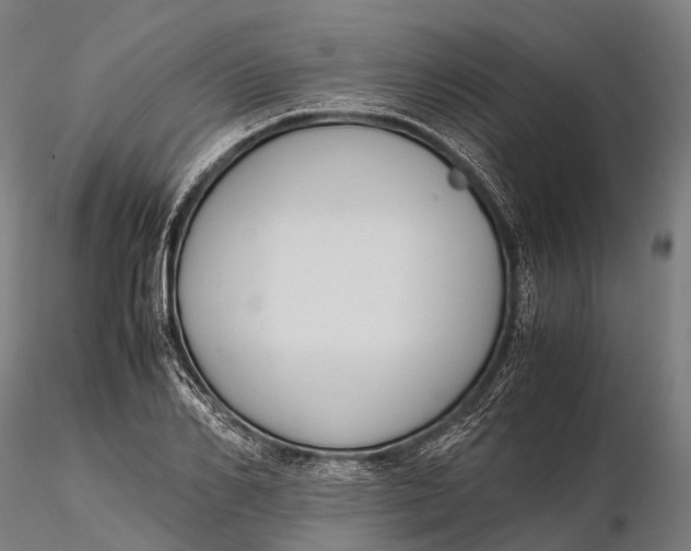 X0000115600982200912011523