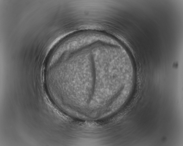 X0000115600983200912011523