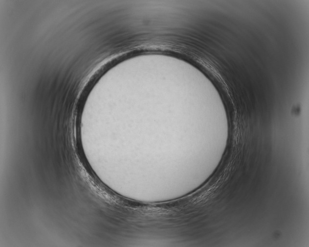 X0000115600984200912011522