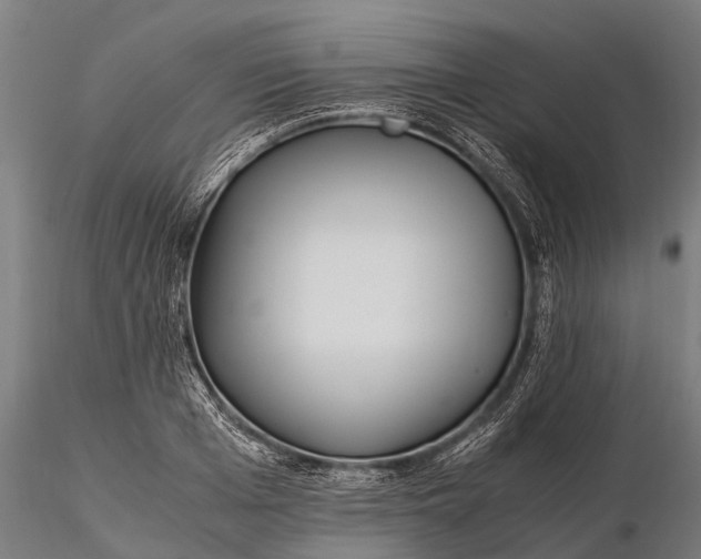 X0000115600985200912011522