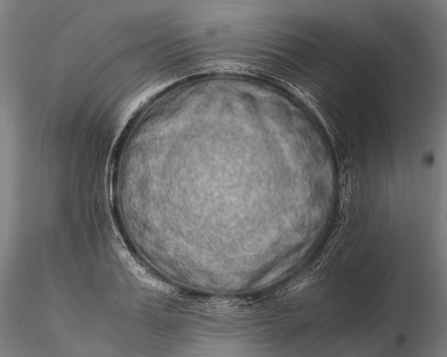 X0000115600987200912011522