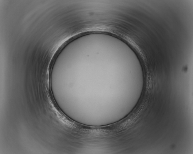 X0000115600988200912011522