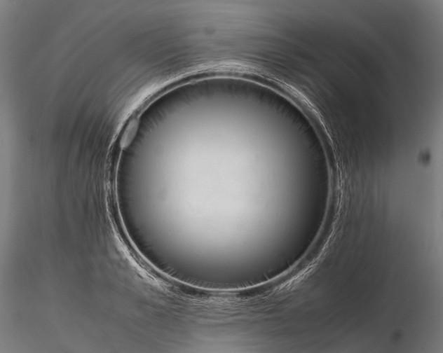 X0000115600989200912011522