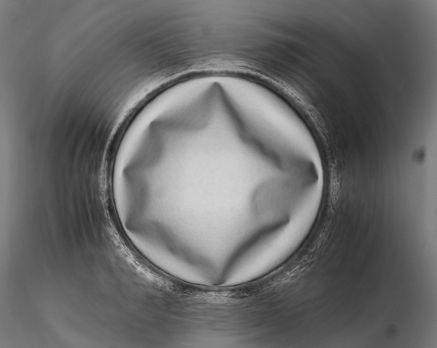 X0000115600990200912011522