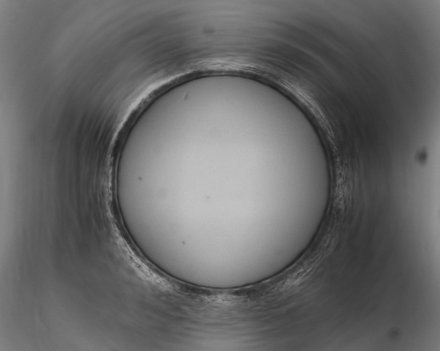 X0000115600992200912011522