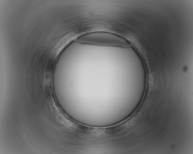 X0000115600993200912011522