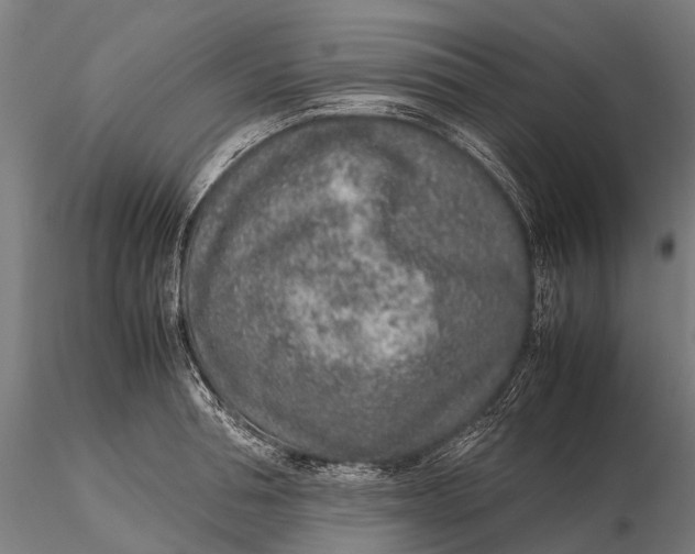 X0000115600994200912011522