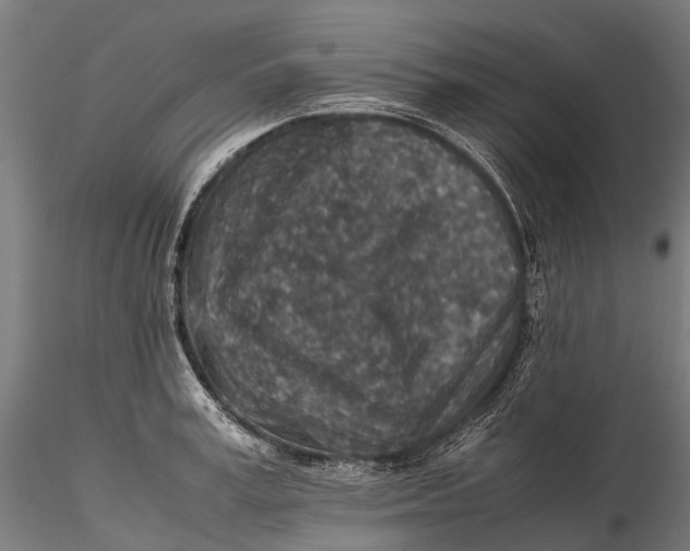 X0000115600995200912011522