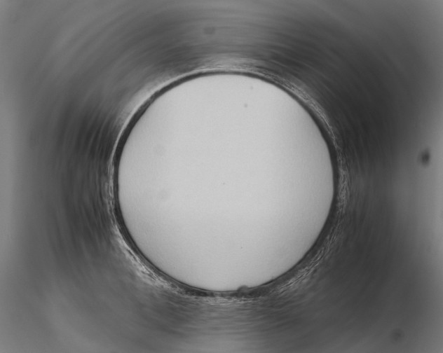 X0000115600996200912011522