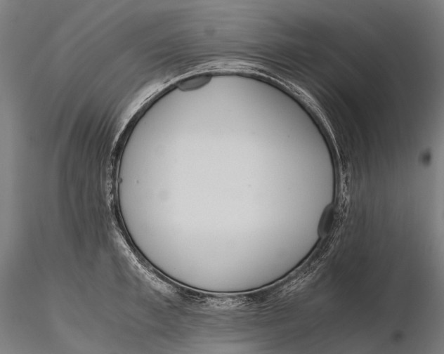 X0000115600997200912011522