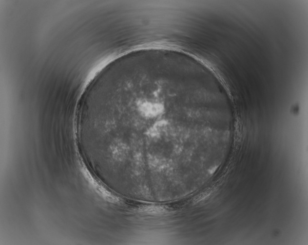 X0000115600998200912011522