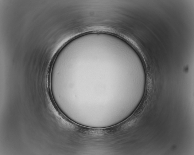 X0000115600999200912011522